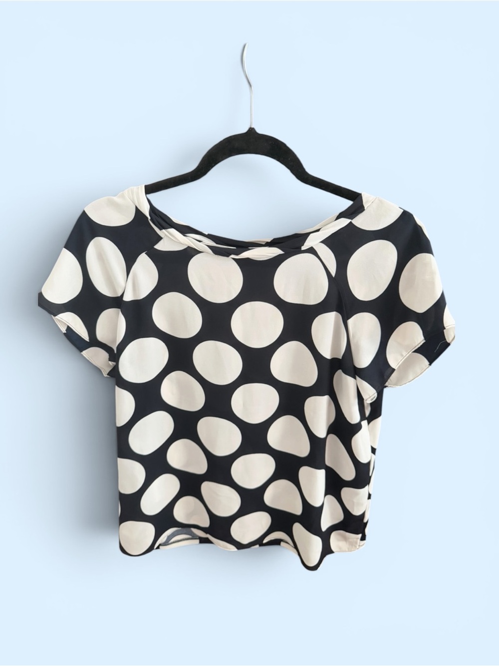 Ann Taylor’s Navy Blue and White Polka Dot Blouse